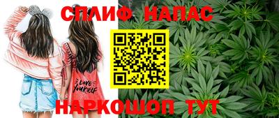 меф Дубна