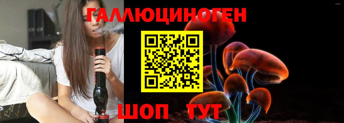 Псилоцибиновые грибы прущие грибы Кудрово